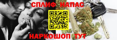 прущие грибы Апшеронск