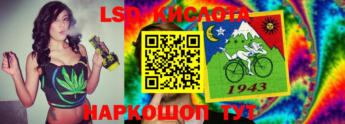 Псилоцибиновые грибы Березники