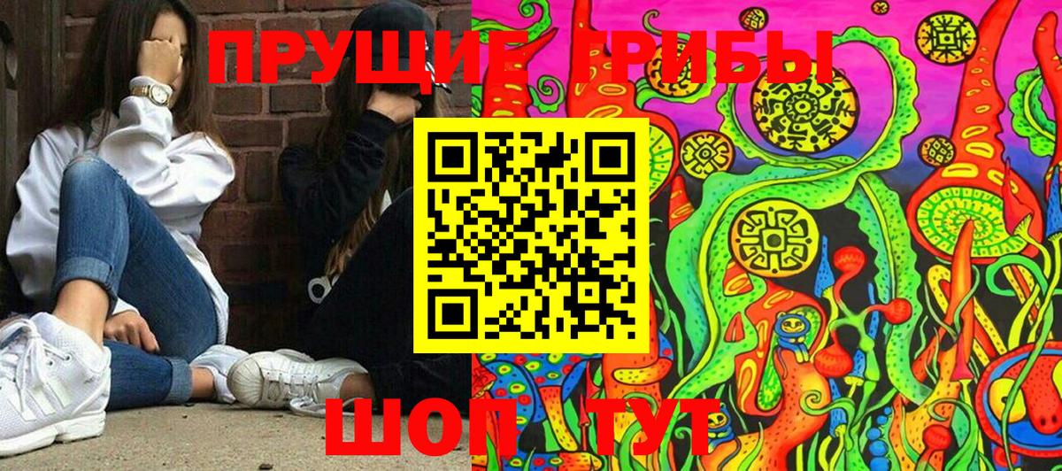 Галлюциногенные грибы прущие грибы Березники