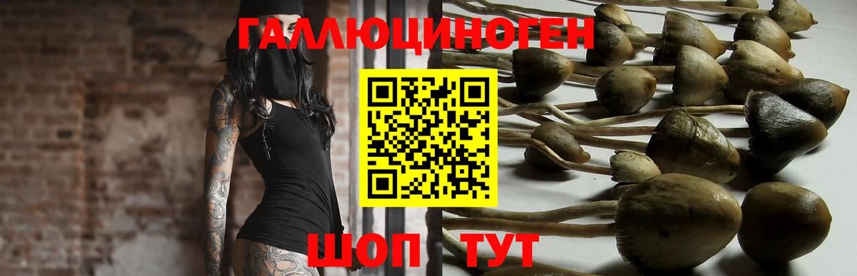 Березники  Псилоцибиновые грибы MAGIC MUSHROOMS  Вход с VPN  что такое наркотик  Псилоцибиновые грибы прущие грибы 